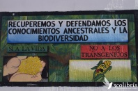 En en La Tinta, departamento de Alto Verapaz, comunidades locales se resisten a utilizar agroquímicos, pese a la presencia de latifundios de cardamomo y café en los que predomina la concentración de la tierra y el uso de agrotóxicos. Fuente: 3Colibrís.