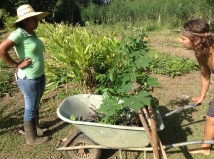 Trabajo en la huerta en la Finca Loroco, a sus 23 años Layli lideraba con su madre mamá Mauricia un proyecto agroecológico emblemático en el país centroamericano. Fuente: 3Colibrís.